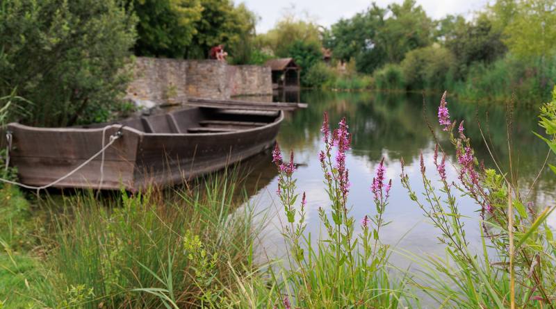 Idylle am Weiher