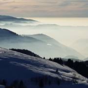 Federica Degay:  Schwarzwald im Schnee