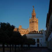 Peter Stäheli: Sevilla am frühen Morgen _ Giralda