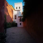 Peter Stäheli: Sevilla am frühen Morgen _ Murallas del Alcazar