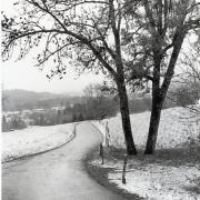 Angela Bettinger: Weg bei Hinterzarten