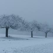 Federica Degay: Winter in Gundelfingen