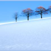 Stefan Scheurer - Winterlandschaft St. Peter