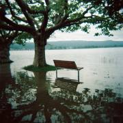 Federica Degay: Bodensee bei Hochwasser