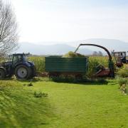 Hans-Werner Bormann: Maisernte - Fast im Garten!