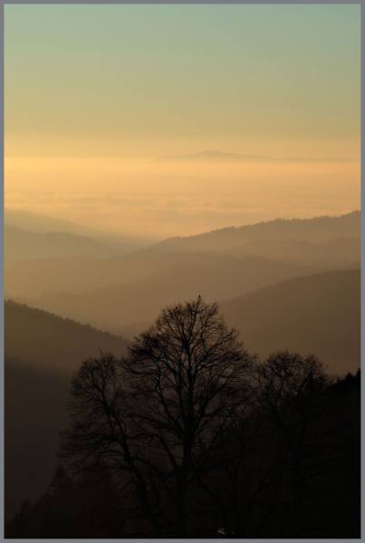 Landschaft • St. Peter • Lindenberg