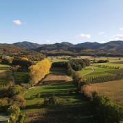 Schwarzwald-pano-im-Herbst