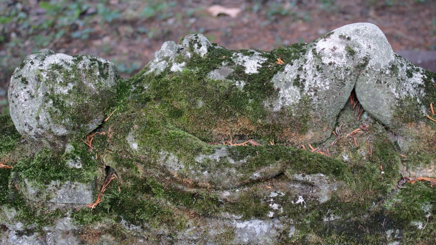 Der etwas andere Friedhof – ungewöhnlich!