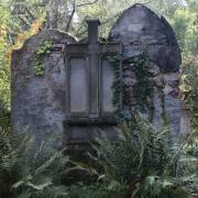 Alter-Friedhof-02