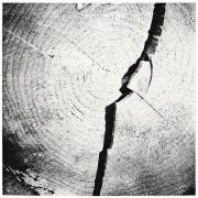 Winterholz Winterholz