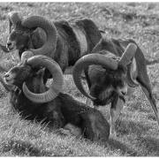 20221020_DSC1502-Bearbeitet_mR