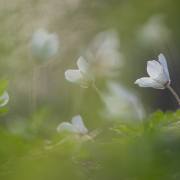 20170323_DSC4608