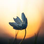 20170330_DSC4925