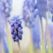 20170408_DSC4947