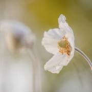 20170430_DSC5125