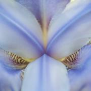 20170513_DSC5218