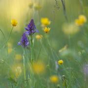 20170516_DSC5328