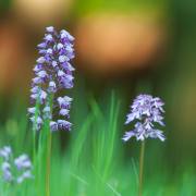 20170516_DSC5349