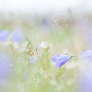 20170815_DSC8786