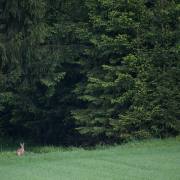 20160519_DSC1449