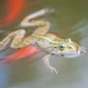 20170414_DSC5034