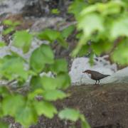 20170523_DSC6127