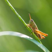 20170610_DSC6659