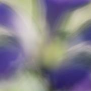 AD_8554_FC1405