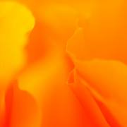 AD_8882_FC1405