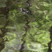 140719-0004
