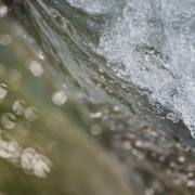 20170523_DSC6096
