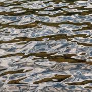 20170813_DSC8393