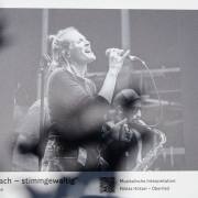 Dirk-Breuer_Rock-am-Bach-Stimmgewaltig