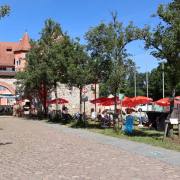 Talvogtei-Gute-Stimmung