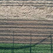 DJI_0876