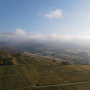 DJI_0935