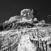 IR SW66001_01_01