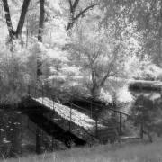 sw66003_01
