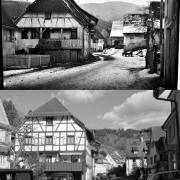 Freiburg Herdern