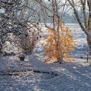 Dreisamtal-04
