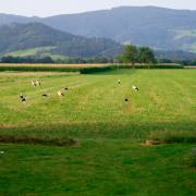 Dreisamtal-07