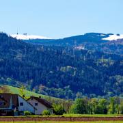 Dreisamtal-03