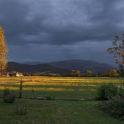 Dreisamtal-08