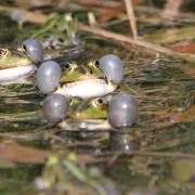 Am Wasser_01