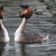 Am Wasser_03