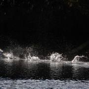 Am Wasser_04