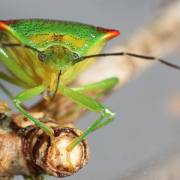 Kleine Monster_06