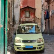 Patricia-Habbel-Steigner-Italien-2026-4