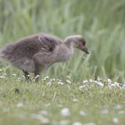 Joachim-Seidenberger-Die-Welt-ist-schoen-2