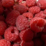 Himbeeren